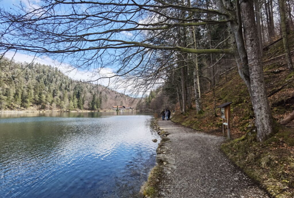 Alatsee Rundweg im Frühling