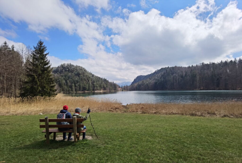 Es gibt zahlreiche Bänke für eine Pause auf dem Alatsee Rundweg. Der Vogellehrpfad verläuft rund um den See.