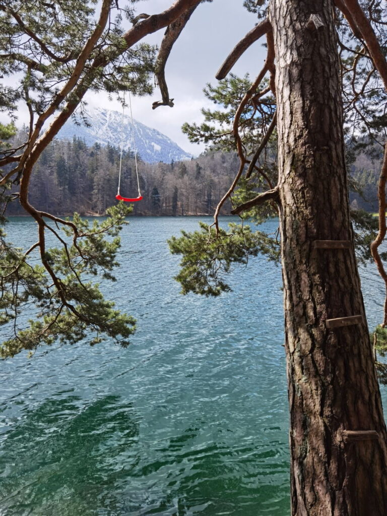 Abenteuer für Jugendliche: Auf den Baum zur Schaukel klettern