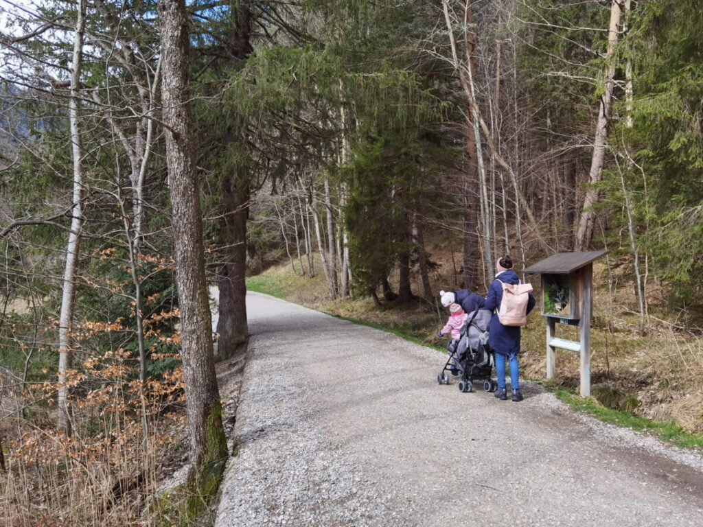 Auf dem Alatsee Rundweg mit Kinderwagen unterwegs