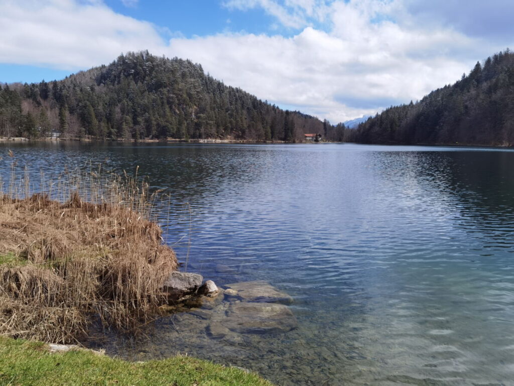 Der Alatsee Rundweg führt direkt am Wasser entlang