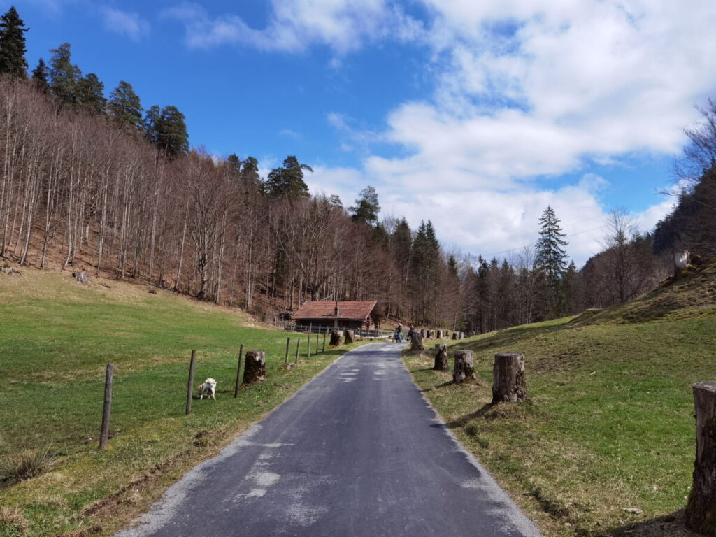 Von Füssen zum Alatsee wandern - durch das Faulenbachtal