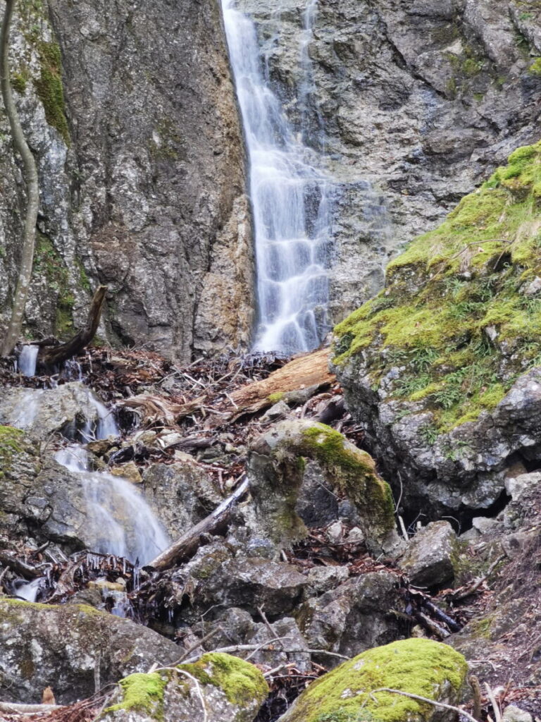 Alatsee Wanderung